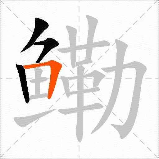 鳓