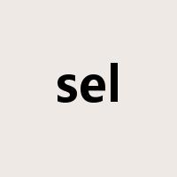 sel是什么意思