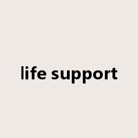 life support是什么意思