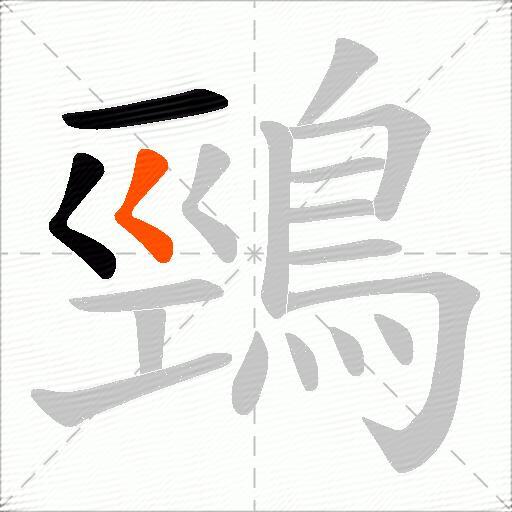 鵛