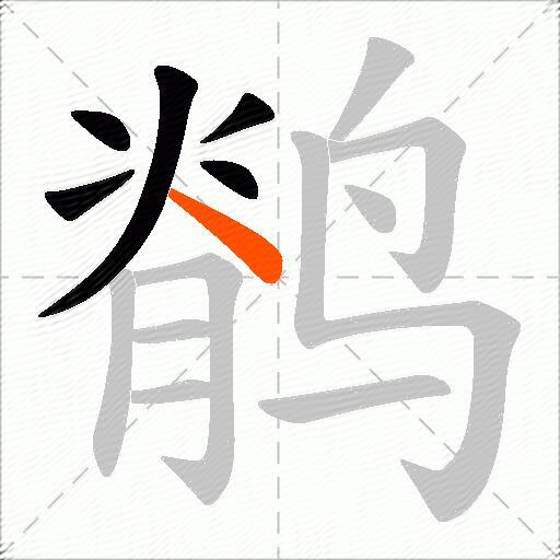 鹡