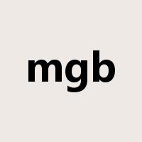 mgb是什么意思