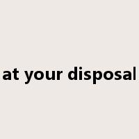 at your disposal是什么意思