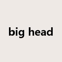 big head是什么意思