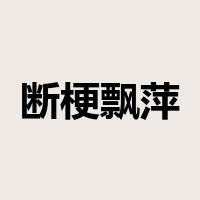 断梗飘萍是什么意思