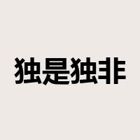 独是独非是什么意思