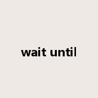 wait until是什么意思