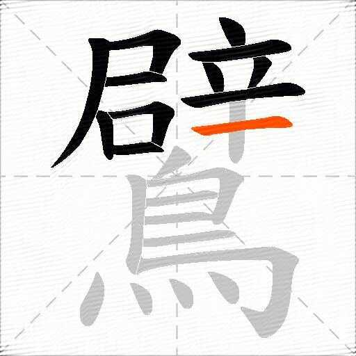 鷿