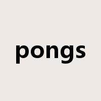 pongs是什么意思