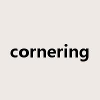 cornering是什么意思
