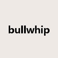 bullwhip是什么意思