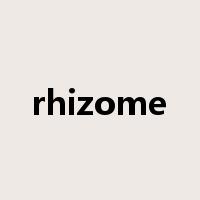 rhizome是什么意思