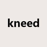kneed是什么意思