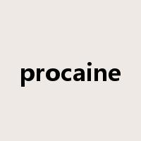 procaine是什么意思