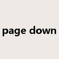 page down是什么意思