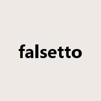 falsetto是什么意思