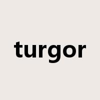 turgor是什么意思