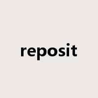reposit是什么意思