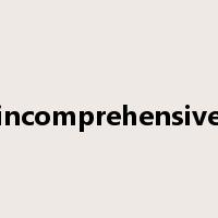 incomprehensive是什么意思