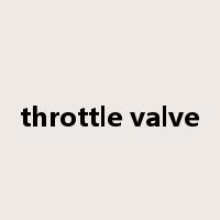 throttle valve是什么意思