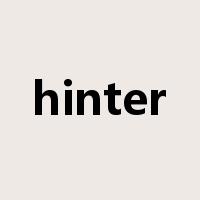 hinter是什么意思