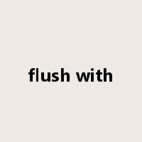 flush with是什么意思