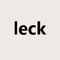 leck是什么意思