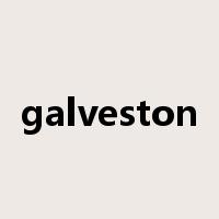 galveston是什么意思