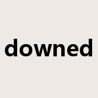 downed是什么意思