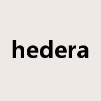 hedera是什么意思