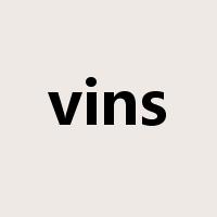 vins是什么意思