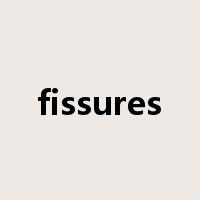 fissures是什么意思