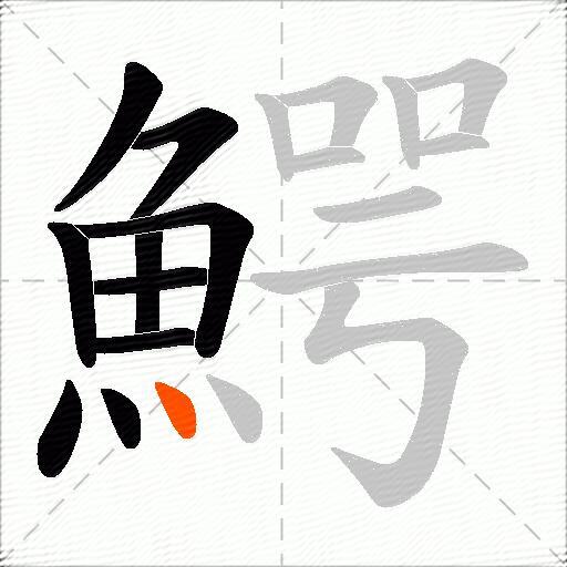 鰐