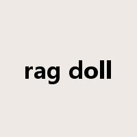 rag doll是什么意思