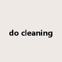 do cleaning是什么意思