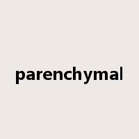 parenchymal是什么意思