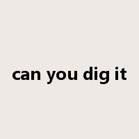 can you dig it是什么意思