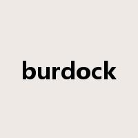 burdock是什么意思
