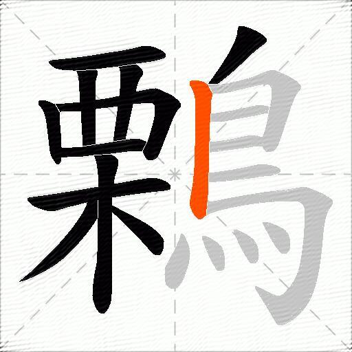 鷅