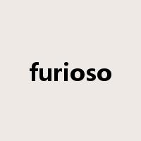 furioso是什么意思