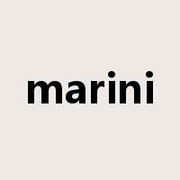 marini是什么意思