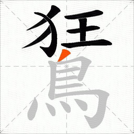 鵟