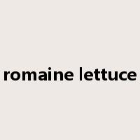 romaine lettuce是什么意思
