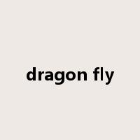 dragon fly是什么意思