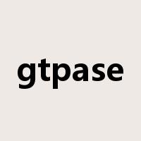 gtpase是什么意思