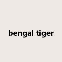 bengal tiger是什么意思