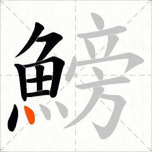 鰟
