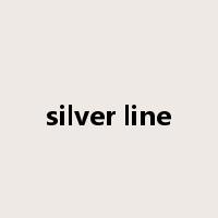 silver line是什么意思