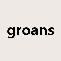 groans是什么意思