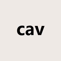 cav是什么意思
